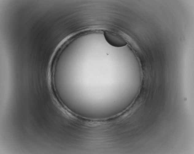 X0000114501076200910191132