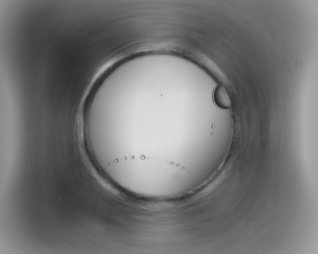 X0000114501079200910191132