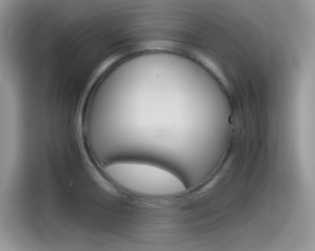X0000114501082200910191132
