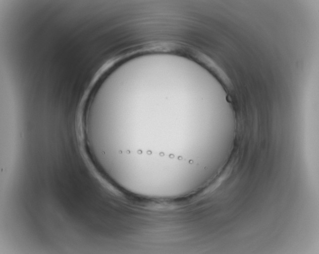X0000114501083200910191132