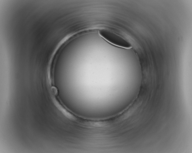 X0000114501084200910191132