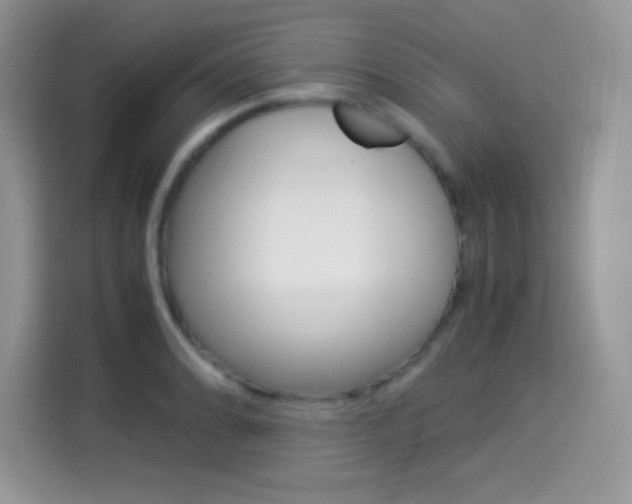 X0000114501086200910191132