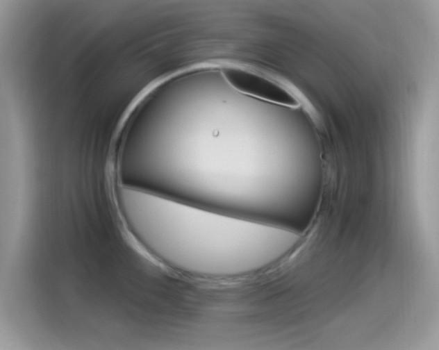 X0000114501100200910191131