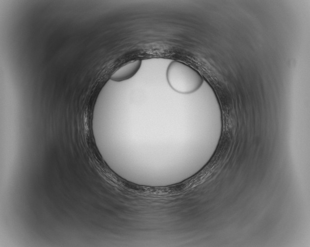 X0000114501106200910191131