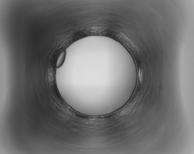 X0000114501107200910191131