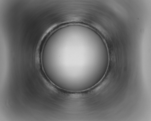 X0000114501118200910191131