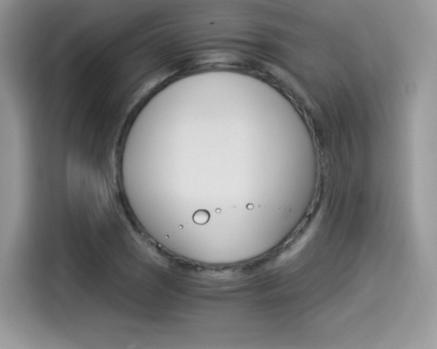X0000114501121200910191131