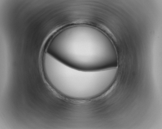 X0000114501122200910191131