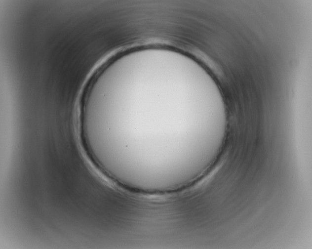 X0000114501126200910191131