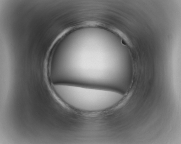 X0000114501134200910191131