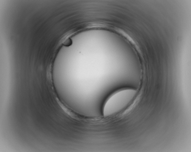 X0000114501137200910191131