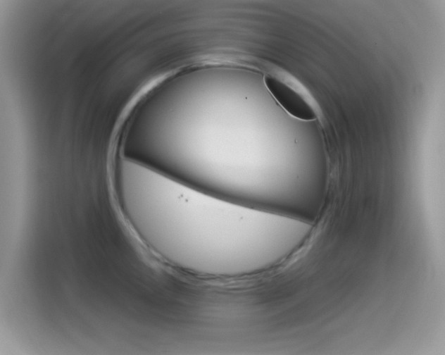 X0000114501146200910191131