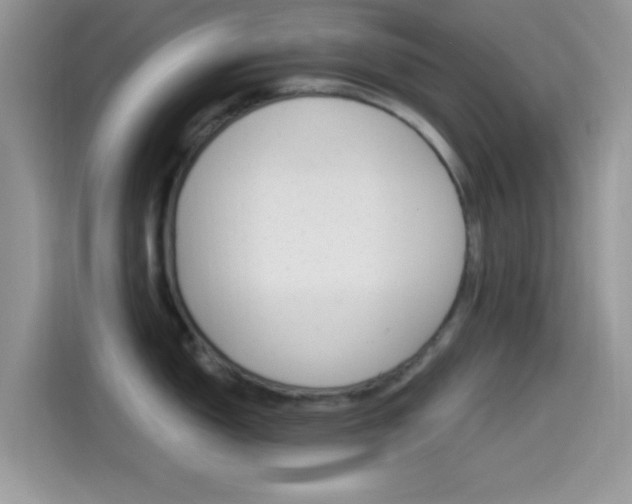 X0000114501150200910191131