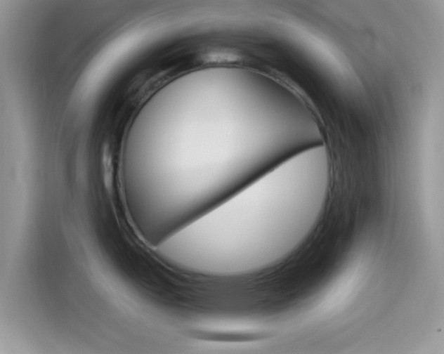 X0000114501151200910191131