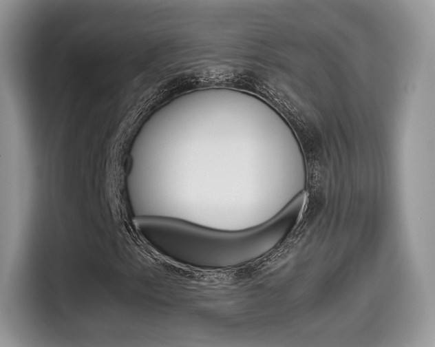 X0000114501153200910191131