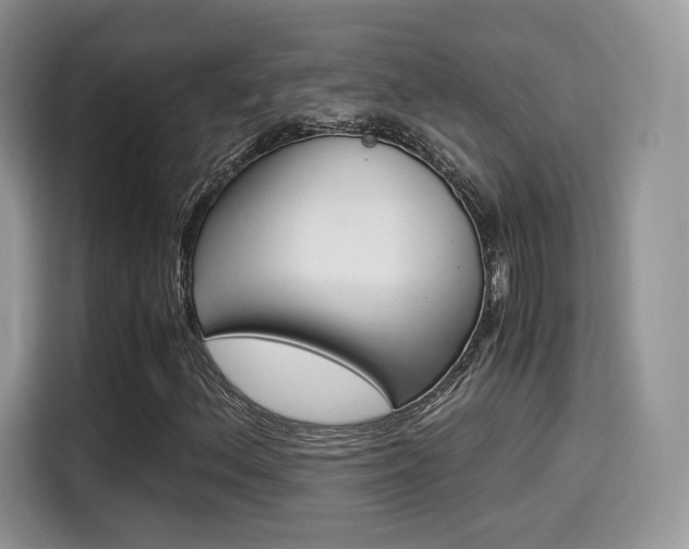 X0000114501156200910191131