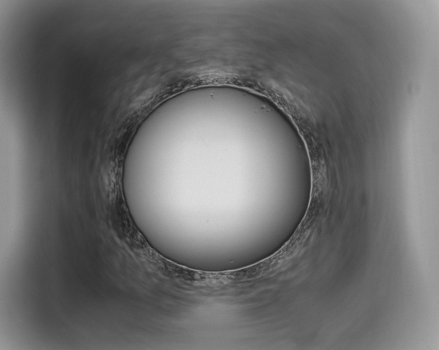 X0000114501157200910191131