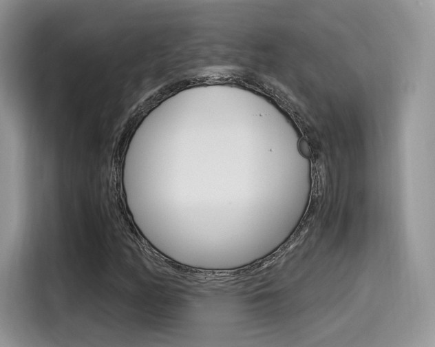 X0000114501158200910191131