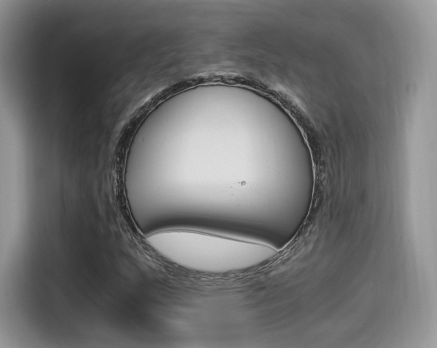 X0000114501159200910191131