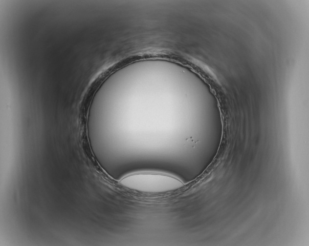 X0000114501160200910191131