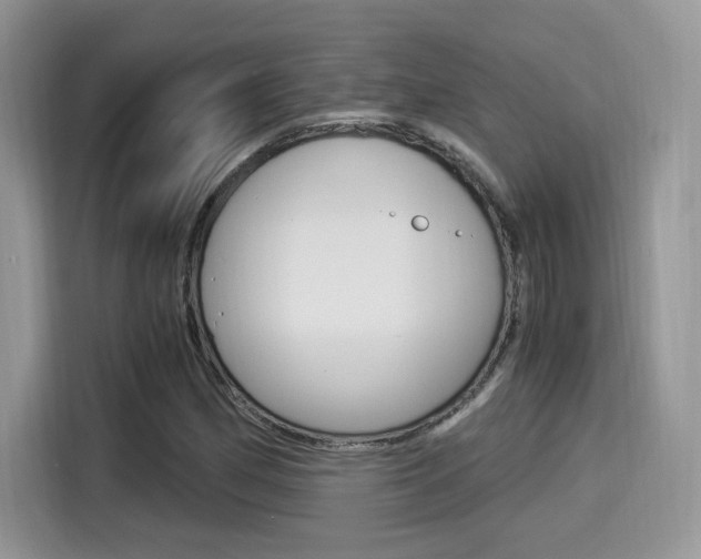 X0000114501162200910191131