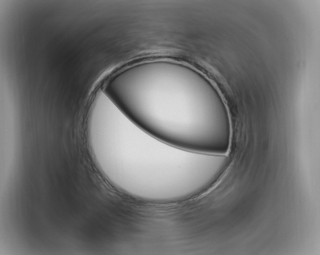 X0000114501163200910191131