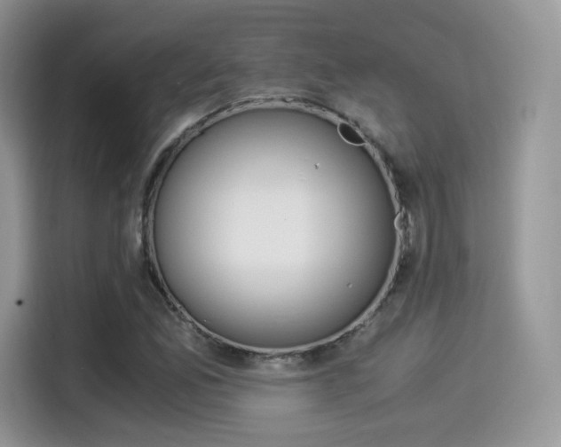 X0000114501165200910191131