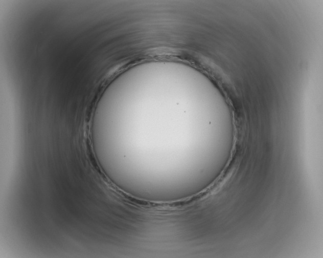 X0000114501169200910191131