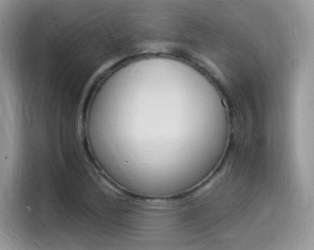 X0000114501172200910191130