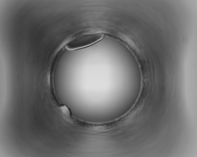 X0000114501173200910191130