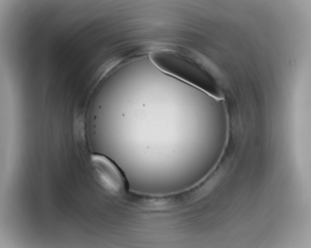X0000114501177200910191130