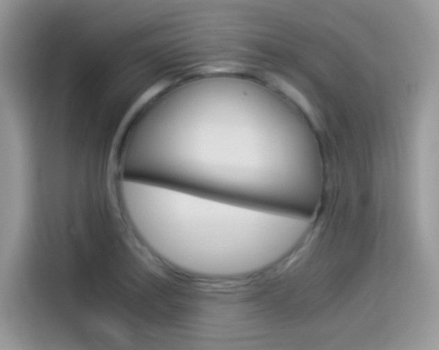 X0000114501179200910191130