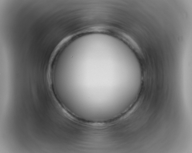 X0000114501180200910191130