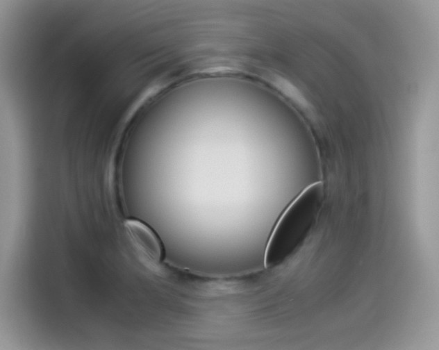X0000114501181200910191130