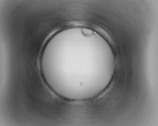 X0000114501182200910191130