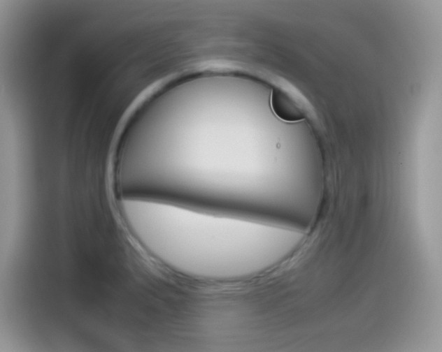 X0000114501183200910191130