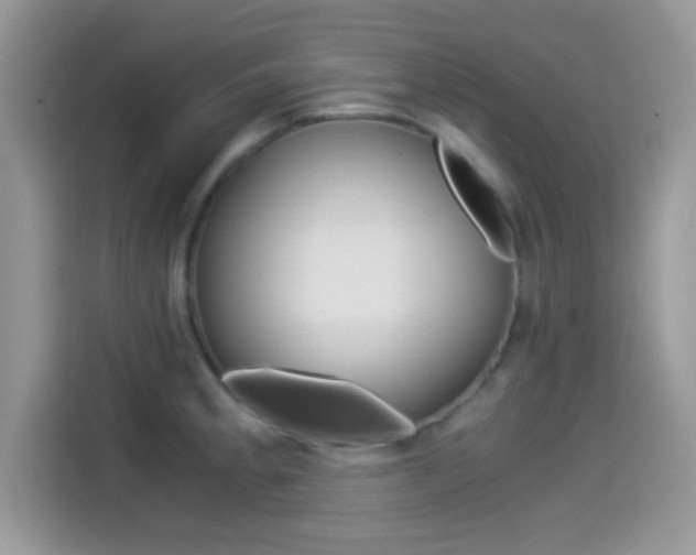 X0000114501189200910191130