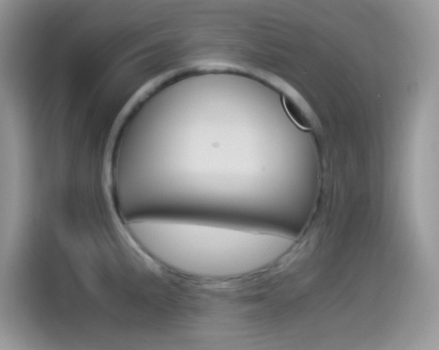 X0000114501191200910191130