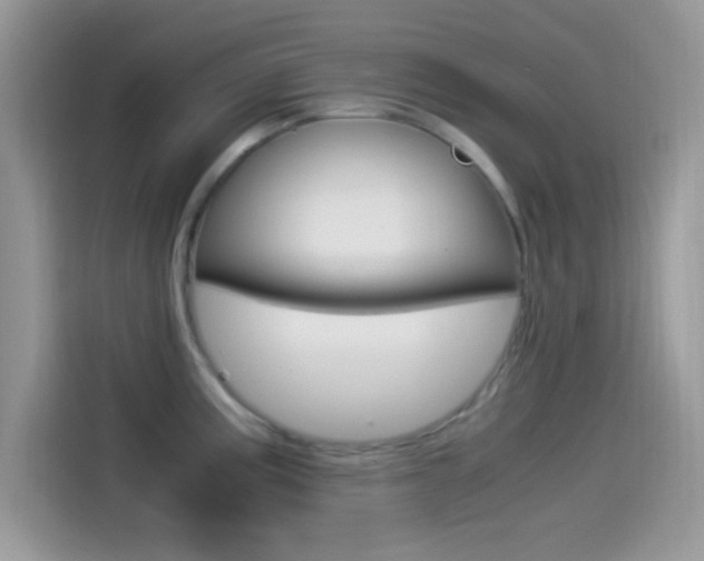 X0000114501195200910191130
