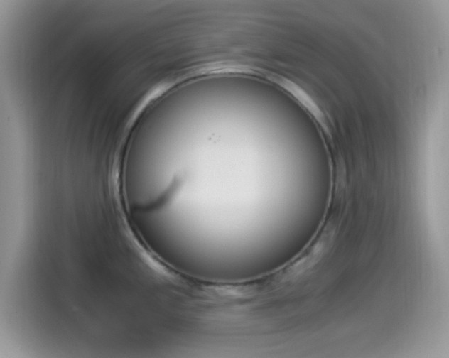X0000114501197200910191130