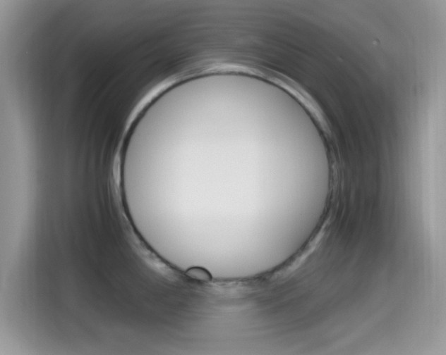 X0000114501198200910191130