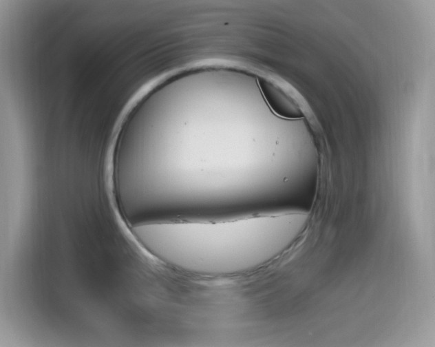 X0000114501199200910191130