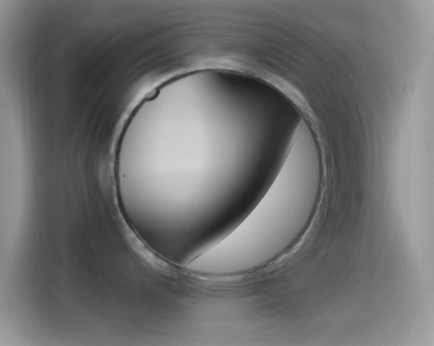 X0000114501200200910191130