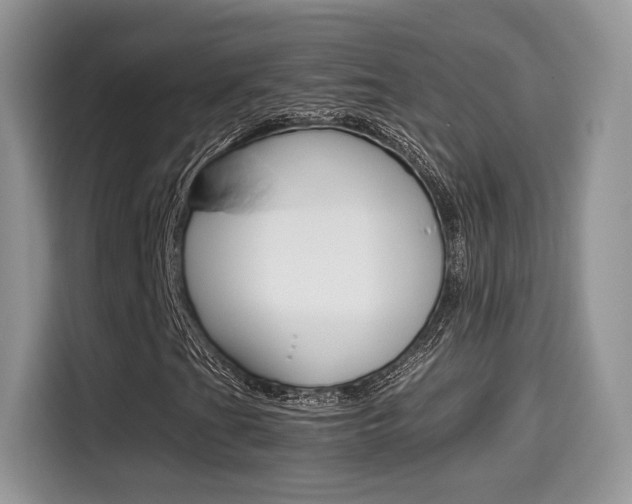 X0000114501201200910191129