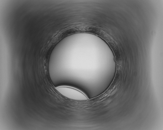X0000114501202200910191130