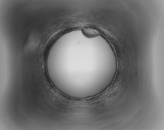 X0000114501206200910191130