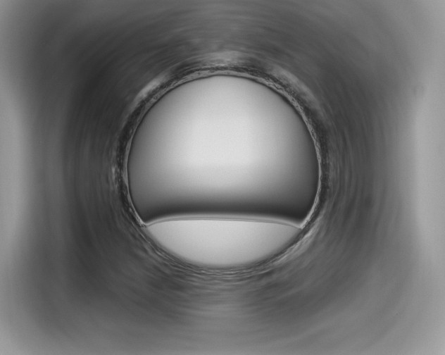 X0000114501210200910191130