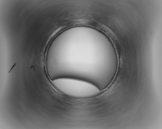 X0000114501212200910191130