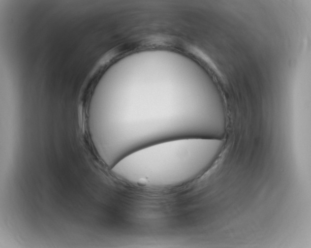 X0000114501219200910191130