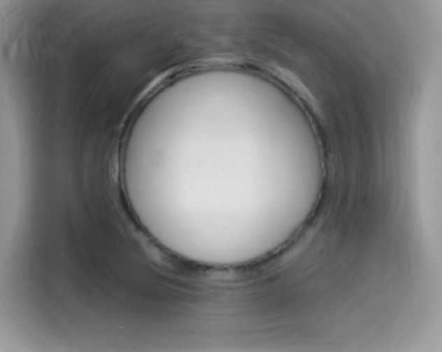 X0000114501220200910191130